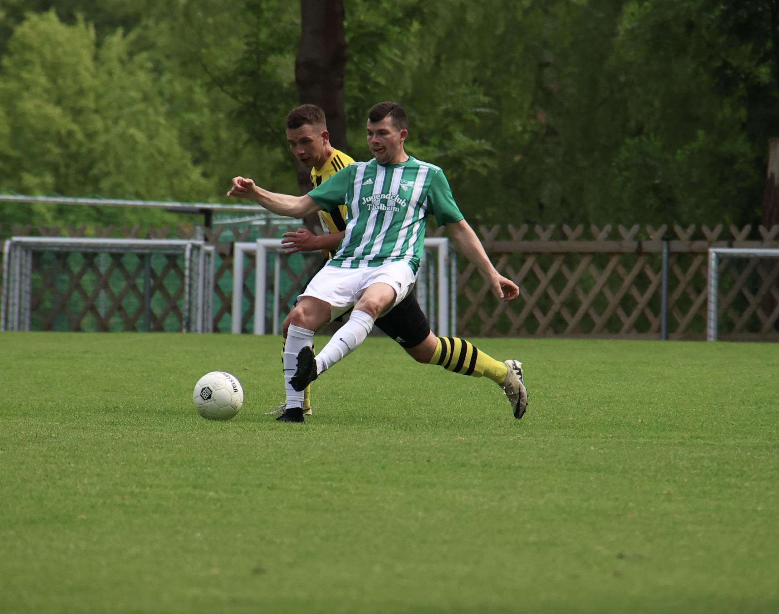 Tanne 2 zurück auf der Erfolgsspur