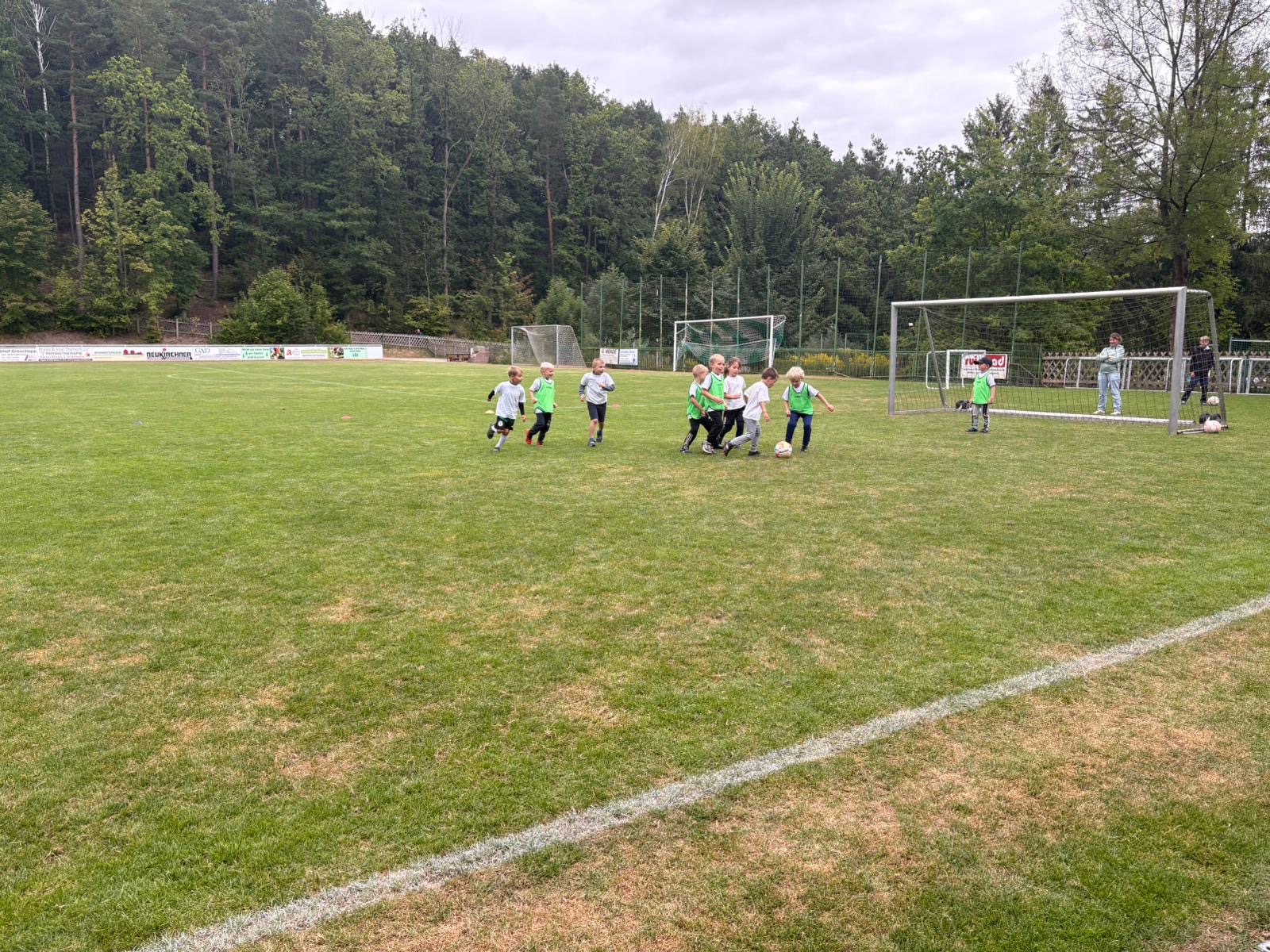 Mini-Kicker ganz groß: Der Kindergartencup 2025 – Kita Bienenkorb brummt sich zum Sieg