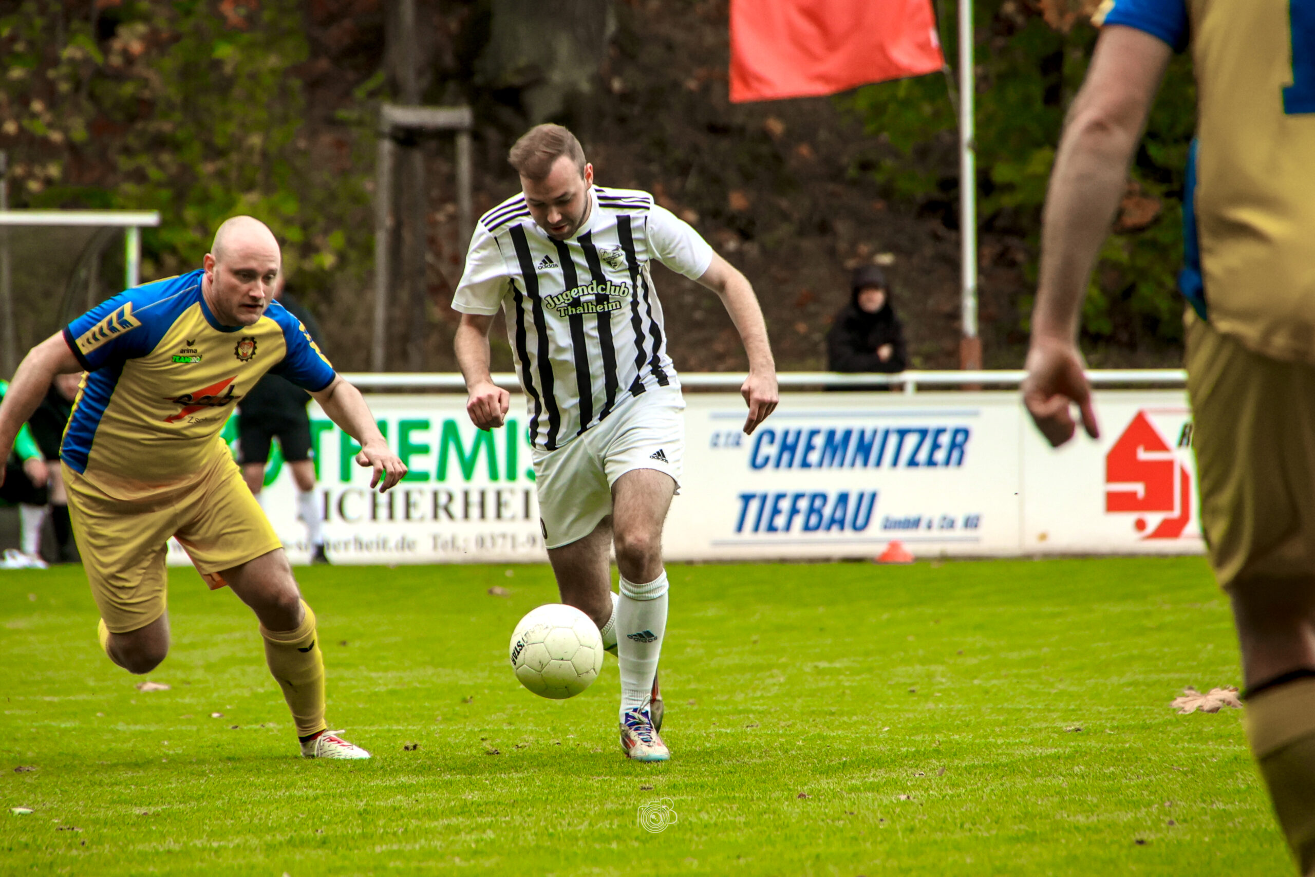 Bittere Heimpleite gegen Zschopau