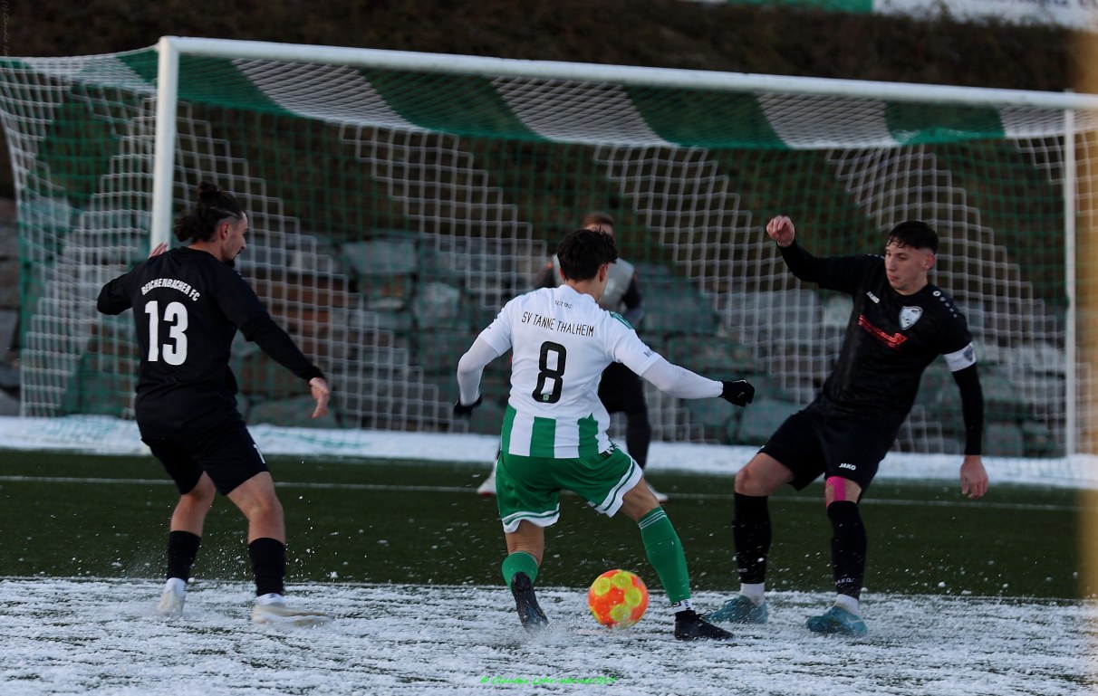 Vorbericht Herren am kommenden Wochenende