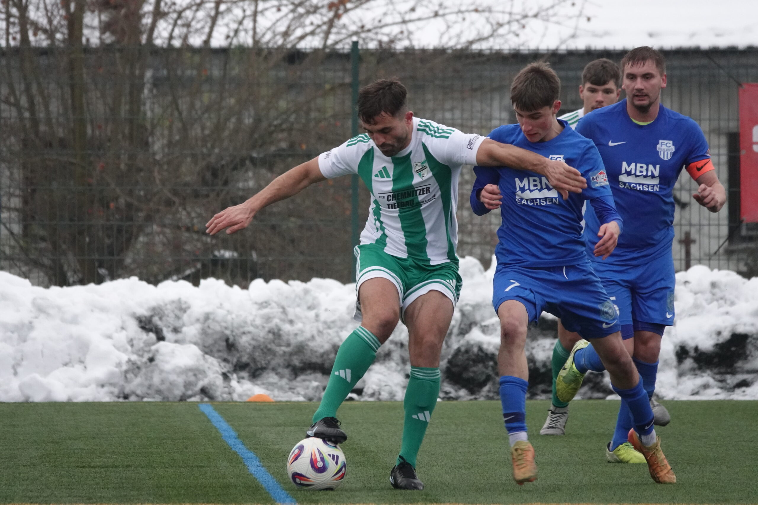 Tannen unterliegen in der Oberlausitz