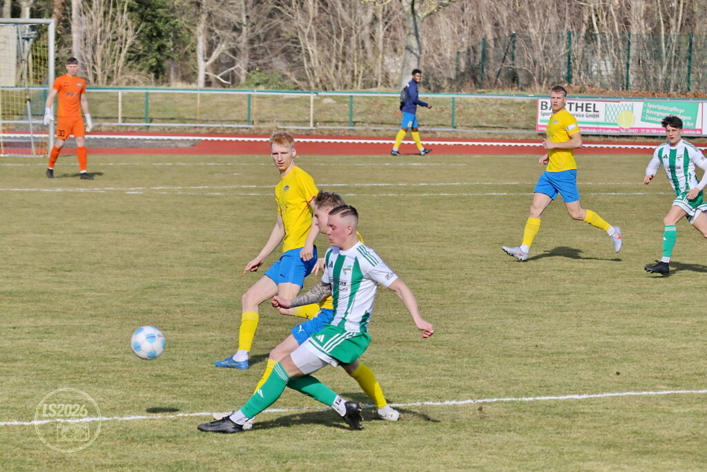 Mutige Tannen belohnen sich nicht