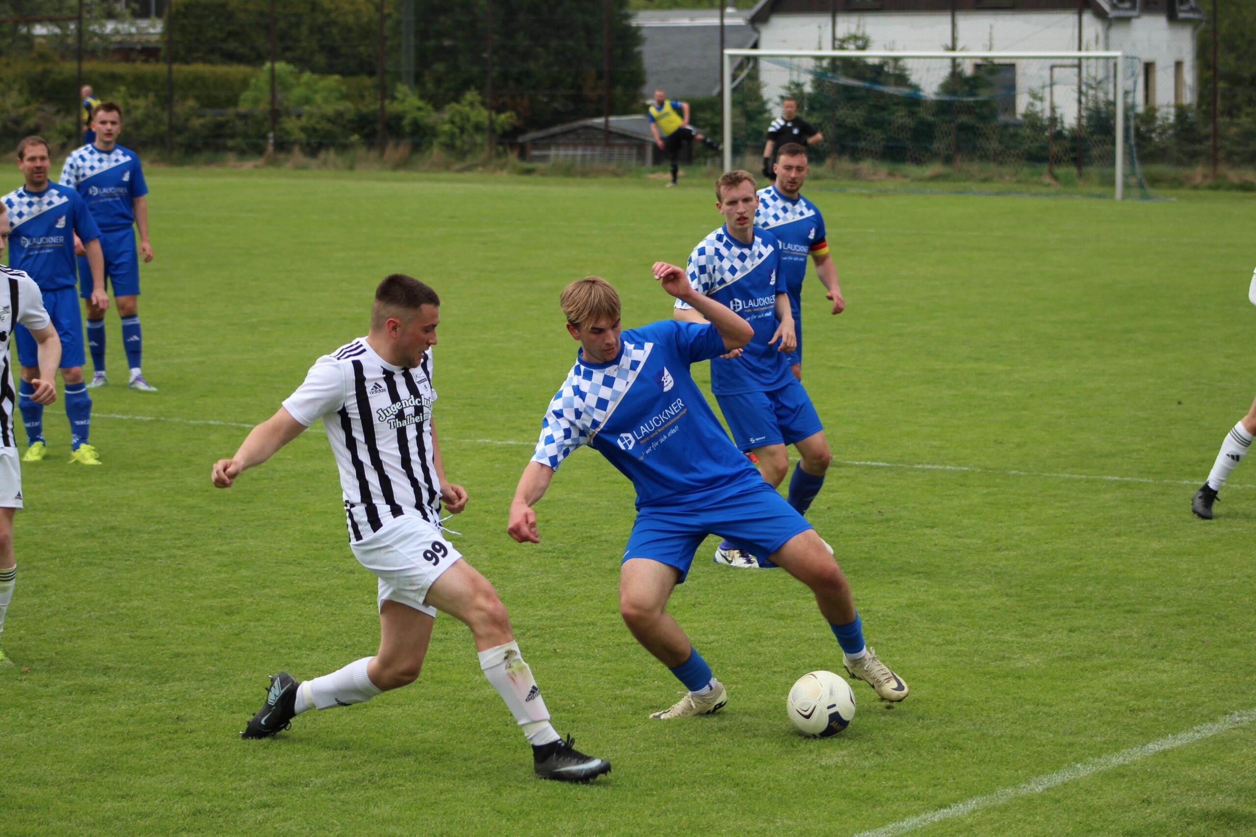 Tanne 2 baut Siegesserie aus